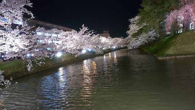 弘前公園　桜まつり