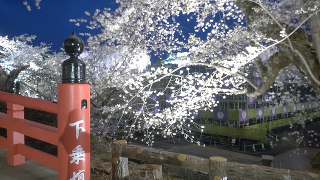 弘前公園　桜まつり