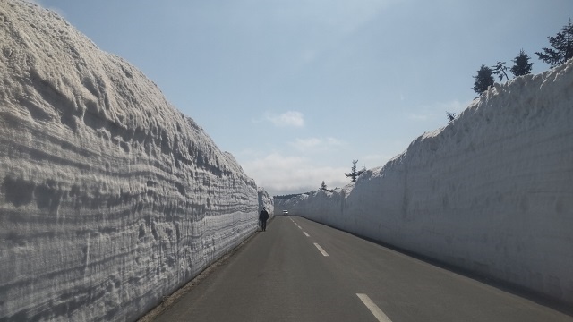 八甲田 雪の回廊