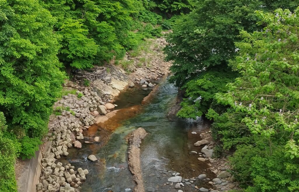 下湯ダム　タヌキの湯