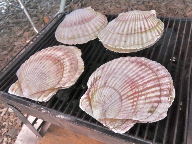 バーベキュー ホタテ 焼き方