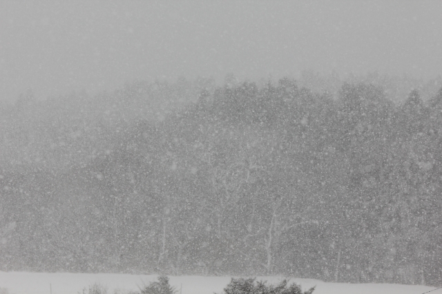 地吹雪